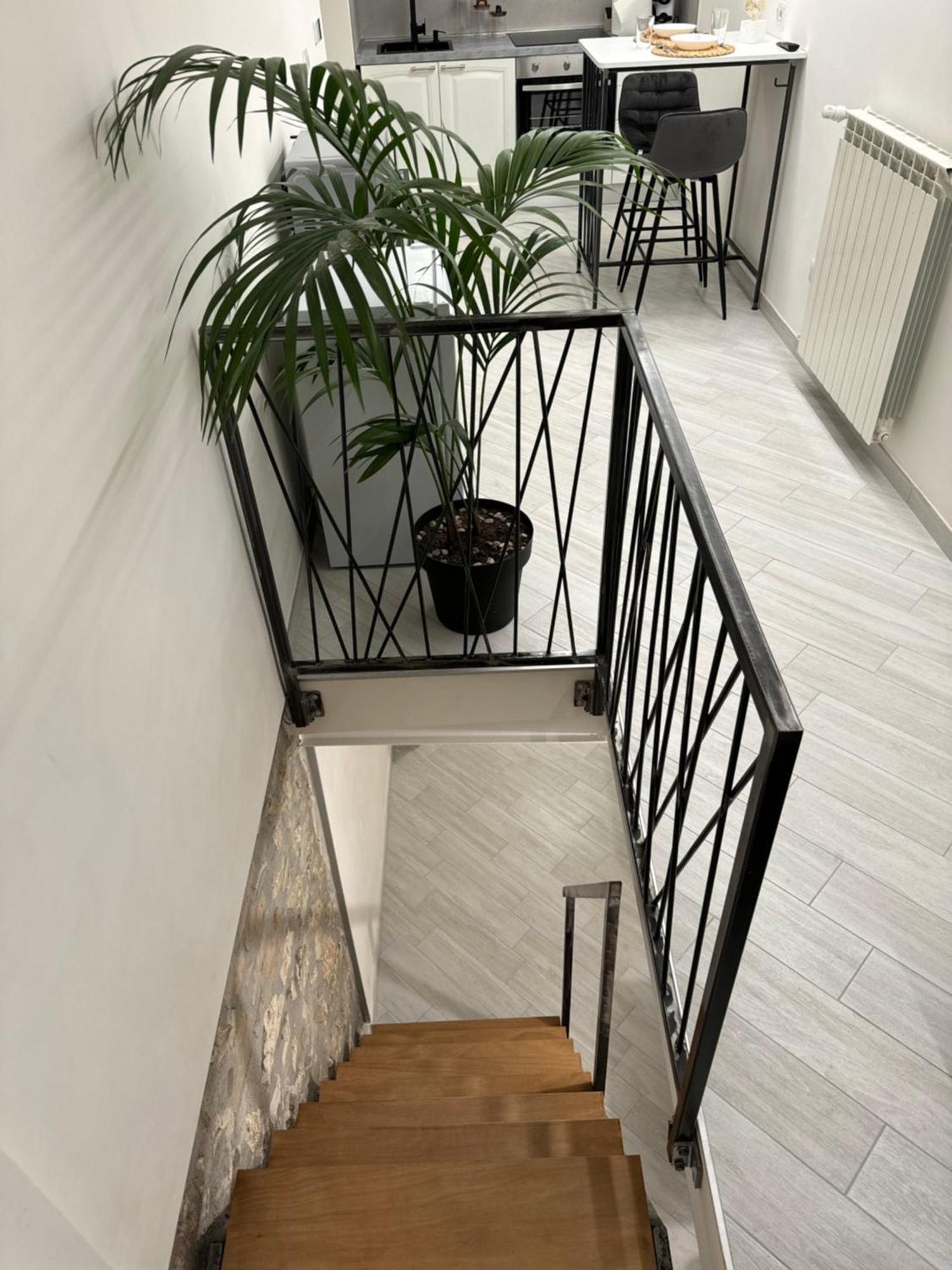 Angelina Home קמפובאסו מראה חיצוני תמונה